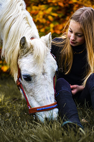 Leren halster licht blauw